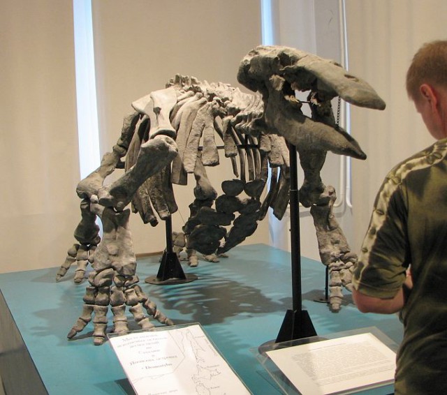 Динозавры России