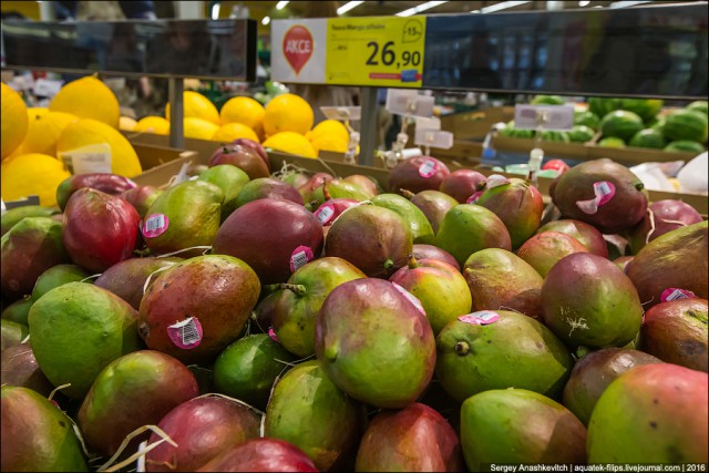 Экскурсия по ценам на продукты в супермаркете Праги