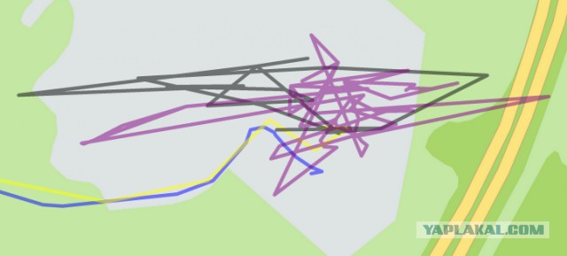 Передвижения кошки за один день, записанные с помощью GPS