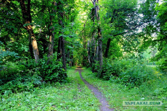 Сельскохозяйственный эксперимент  ч 11