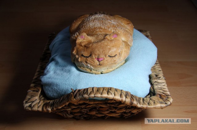 Кухня (кулинарное и околокулинарное общение)