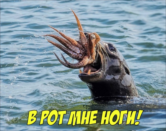 Картинки со смыслом и без - 4