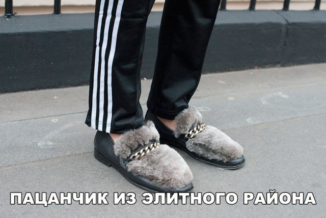 100 картинок для поднятия настроения!