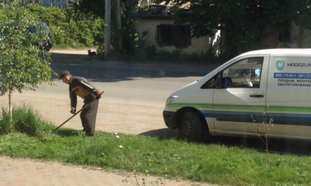Весёлые картинки