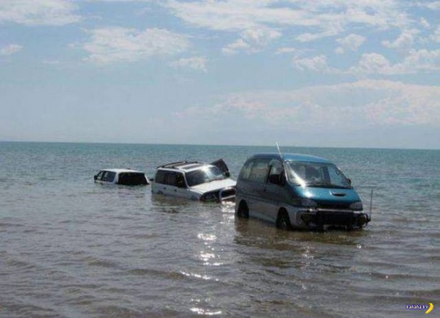 Автовсячина