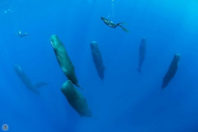 Фото, на которых все могло бы быть нормально, если бы не одно но...