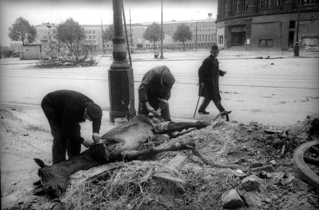 Крестьяне, деревенские  хаты. 1941-1942