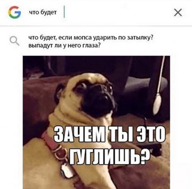 А вы слышите голоса?