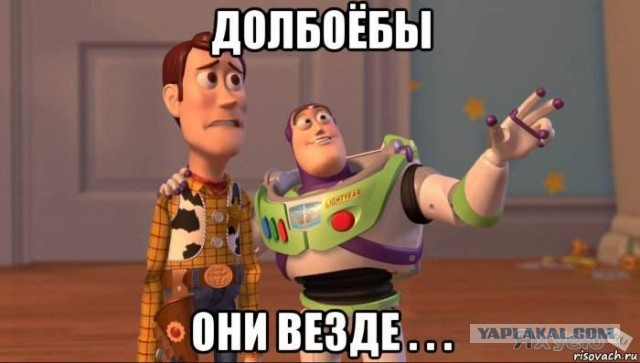 Навальный о нападении на Панфилову - это отвлекающий маневр