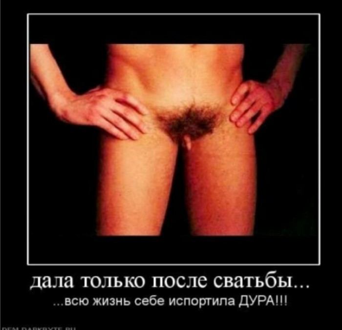 Учёные определили, что 13,1 сантиметра - идеально