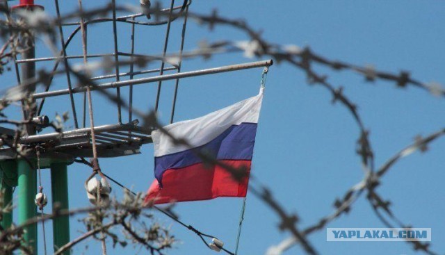 Встречаем нового депутата поселка Токсово Лен области