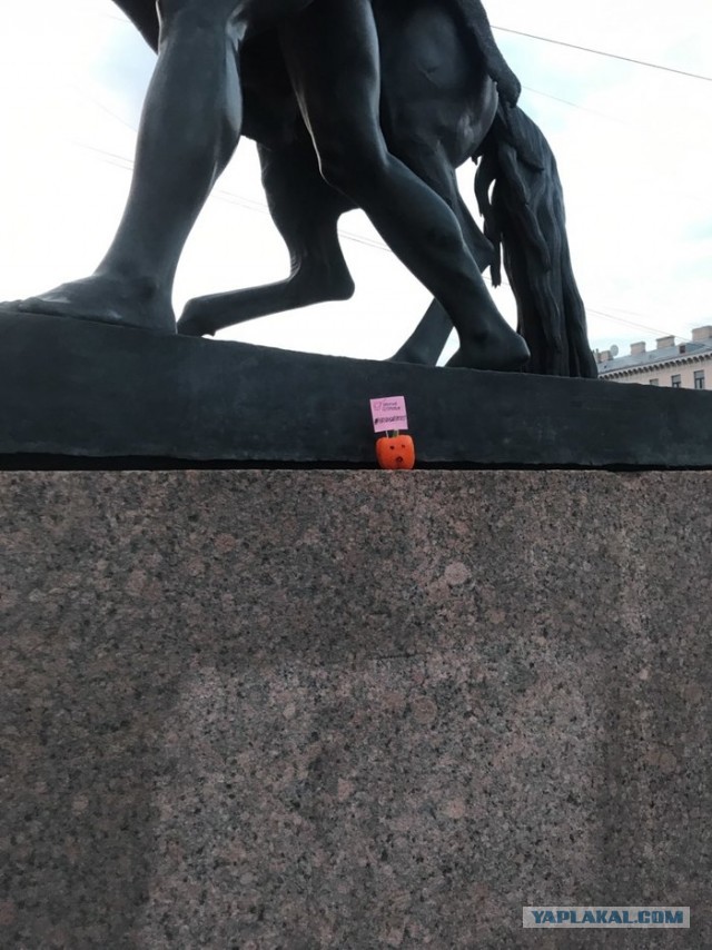 Митинг в Питере или?