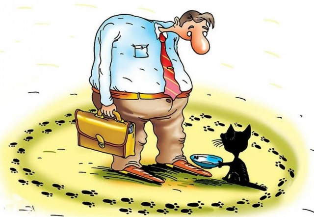 С котопятницей! Улыбнемся?