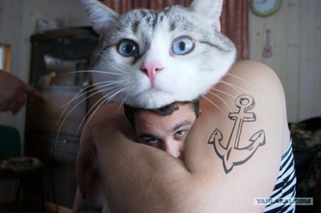 Девушка попросила отредактировать ее фотки...