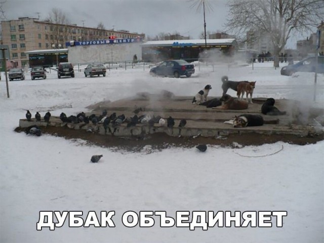 Так себе картинки 16.02.21