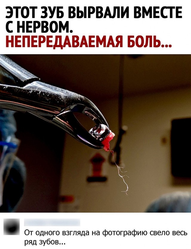 Картинки разные 12.05.21