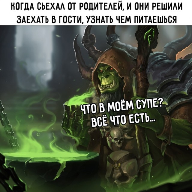 Весёлый полтишок 16.08