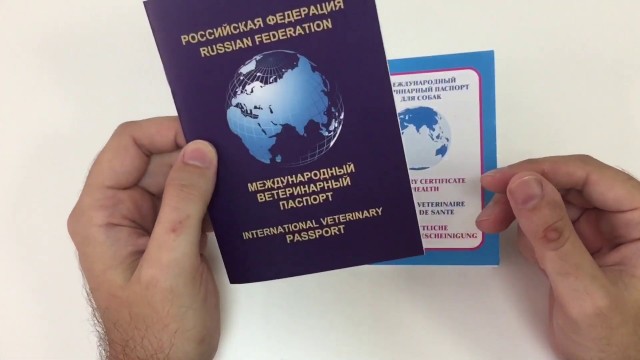 Вчера в Афинах (Греция) прошла внушительная по масштабам демонстрация против обязательной вакцинации