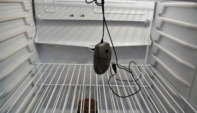 Товарищи, а что в Вашем холодильнике?