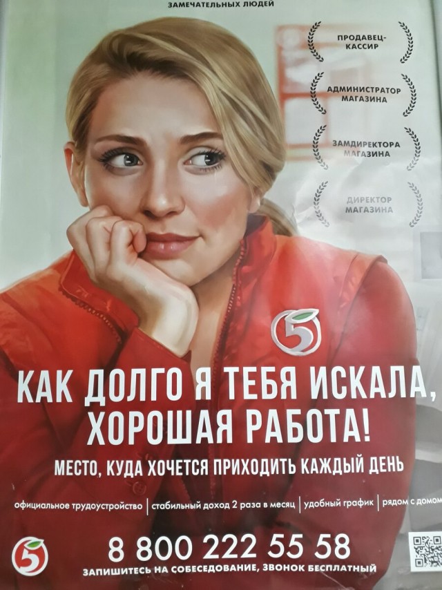 Заработки московской элитной девушки для эскорта смутили пользователей сети