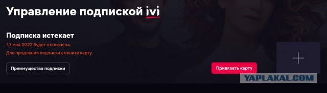 Кто покупает фильмы?