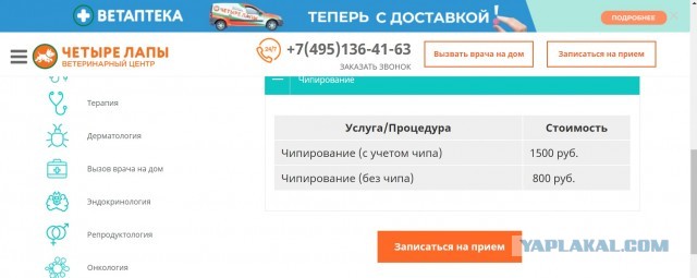 Кошек и собак включат в законопроект об обязательной маркировке животных