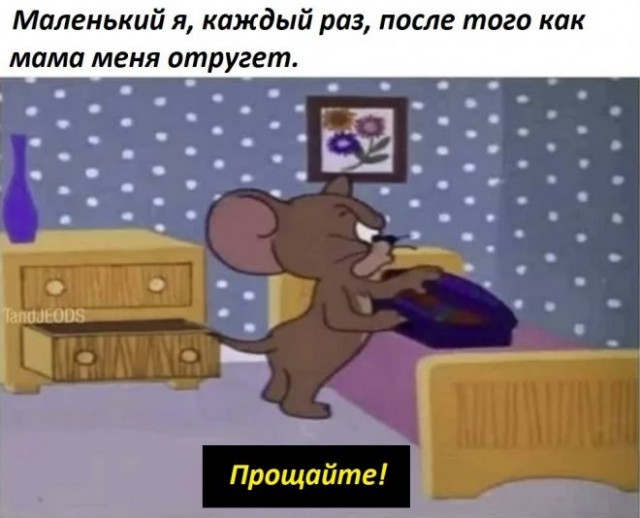 Картинки и мемы для настроения - 27