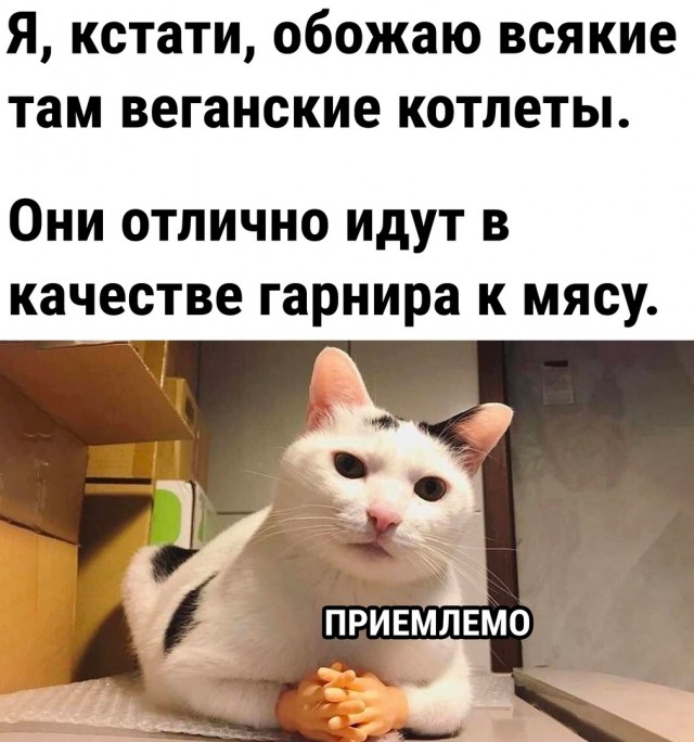 Так себе картинки 26.08.22