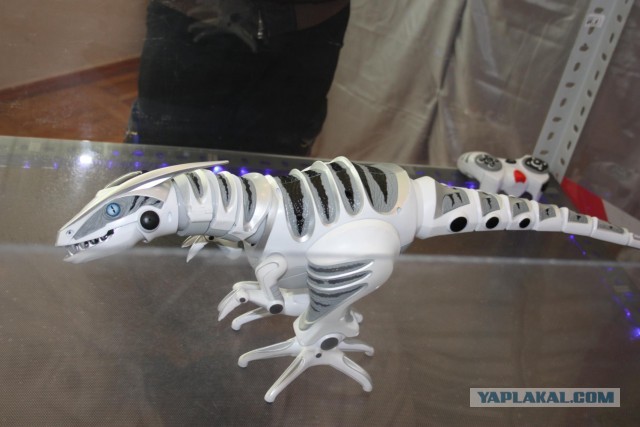 Выставка роботов