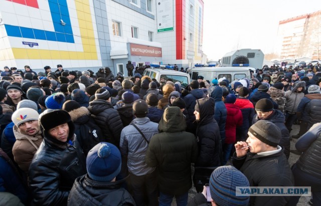 Из страны выдворят 87 мигрантов, задержанных после убийства школьника в ЧелябинскеВозбуждено 20 уголовных дел