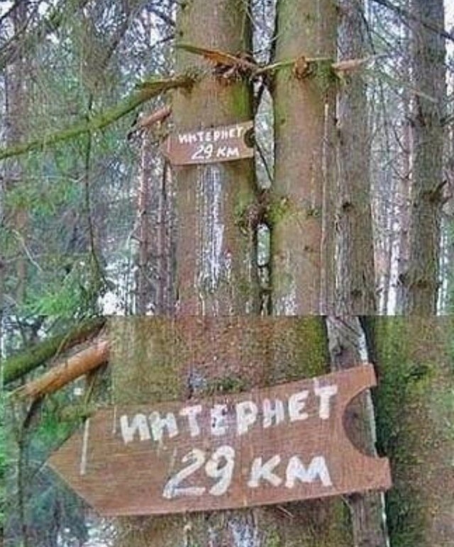 10 .jpg вам в хату