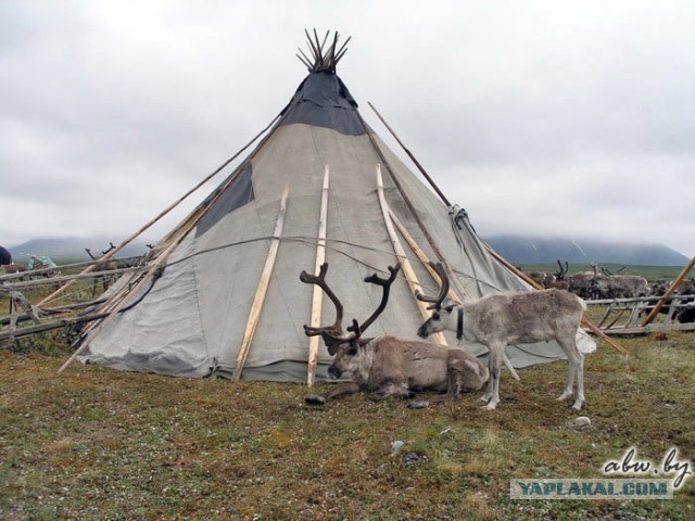Дорога, которой нет: зимник Вуктыл - Воркута