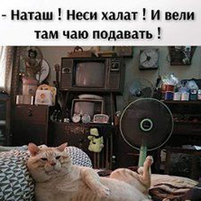 Так себе картинки 12.07.23