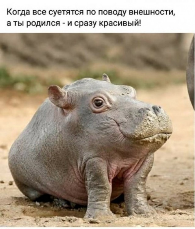 Ну раз заходят, то нате ещё боянов