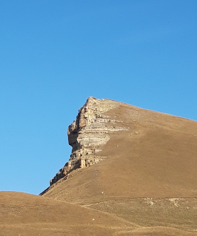 Красивые фото ЯПа