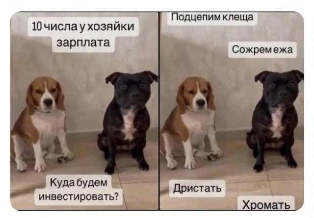 Всего понемногу. От 15.12.23