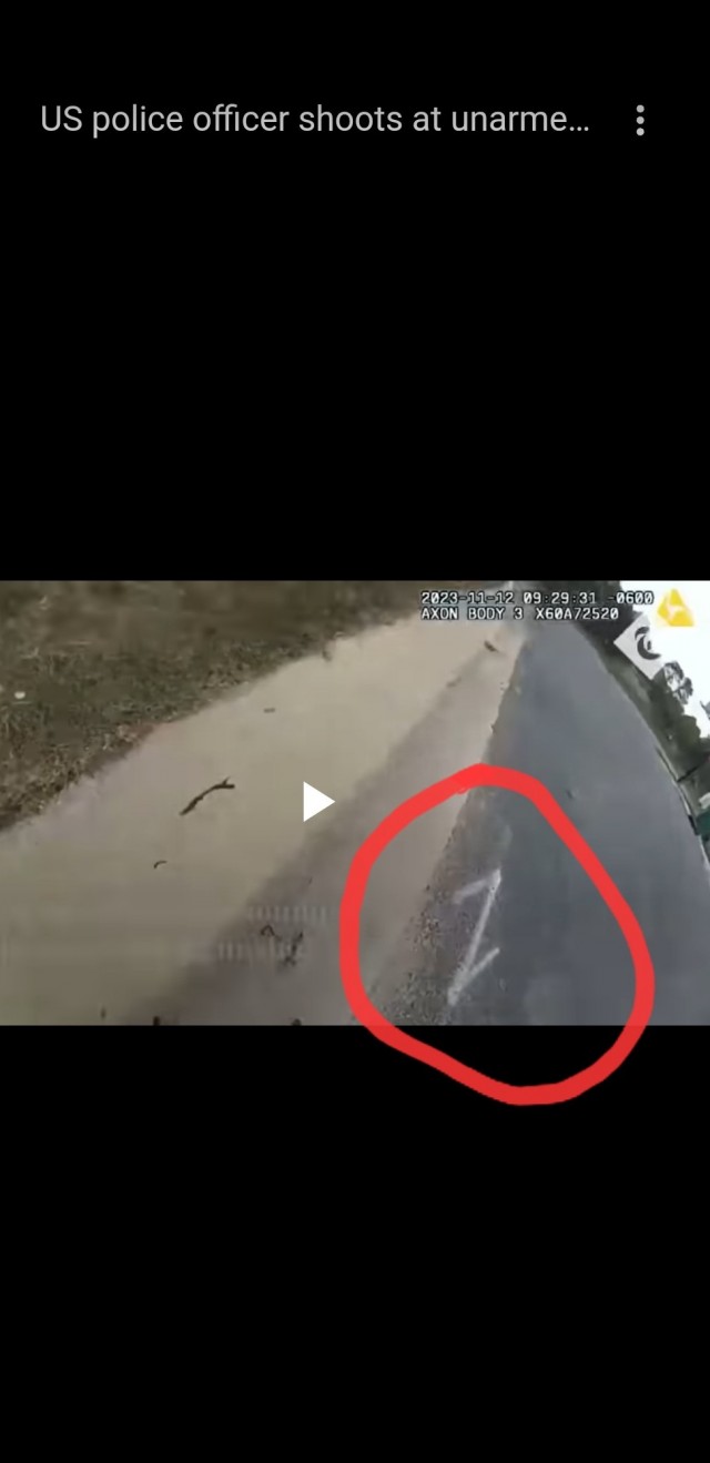 Полицейский и желудь