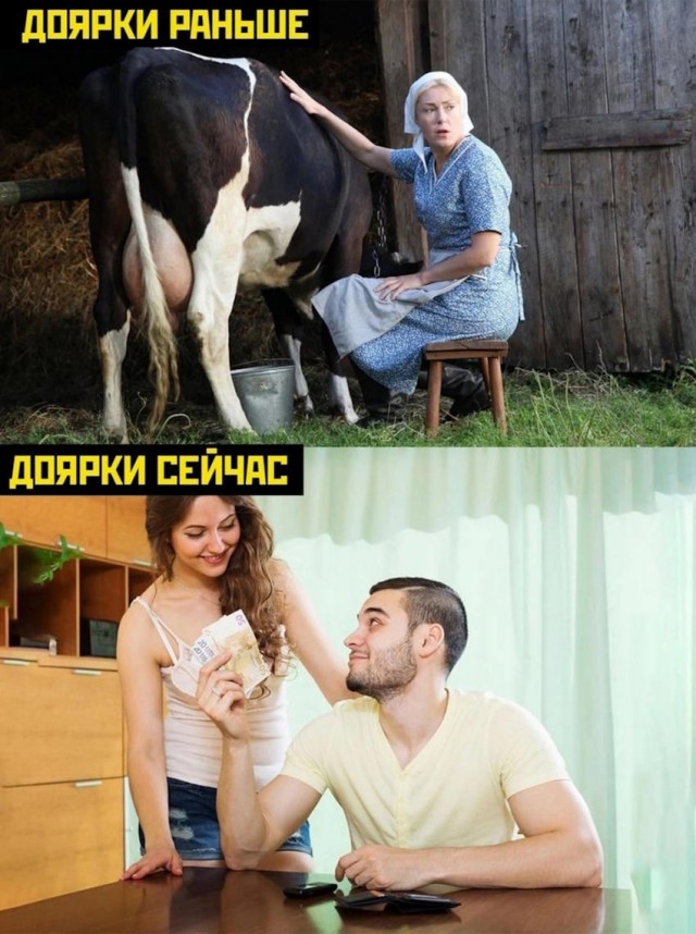 Веселые картинки к пятнице (30.08)