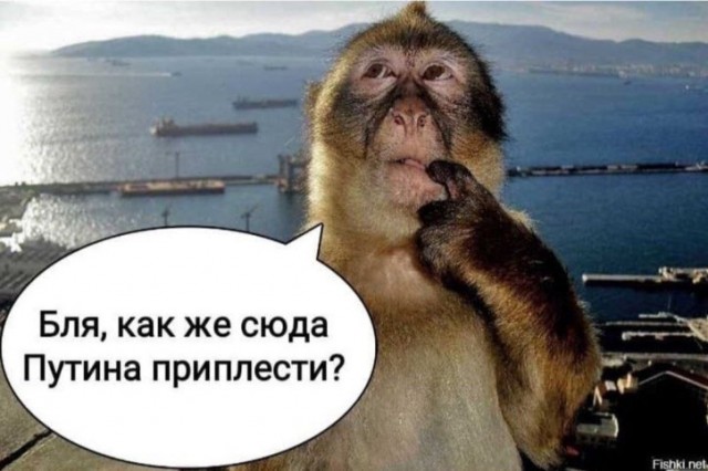 Никогда такого не было и вот опять
