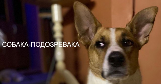 Беларус Ричард