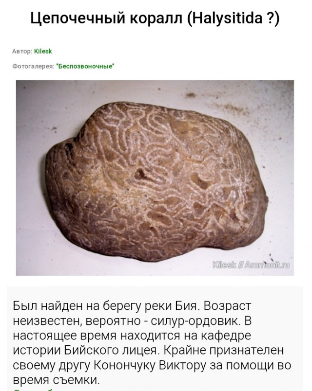 Помогите определить что это такое