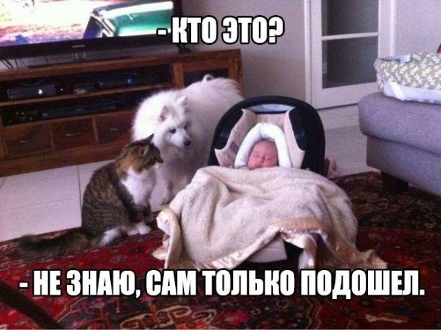Завалялось тут случайно немного забавных картинок