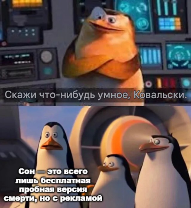 Смешные картинки с надписями на пятницу