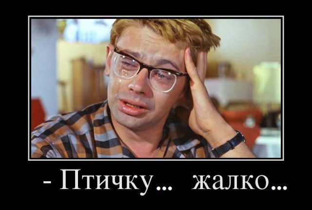 Когда забыл купить корм ему
