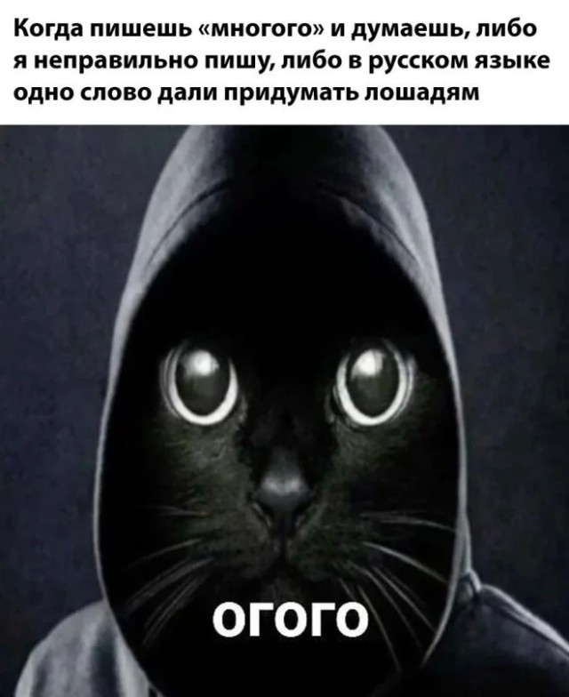 Интернет мемы на утро субботы