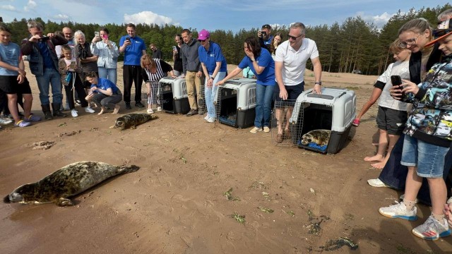 Толстые и самостоятельные