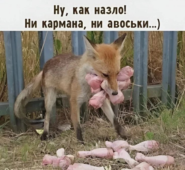 Нуштош 04.07.2025. Обитатели обители теней (s4e2)