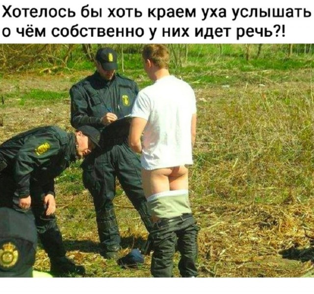 Так себе картинки 14.07.25