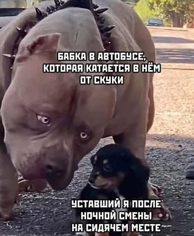 Всякая всячина