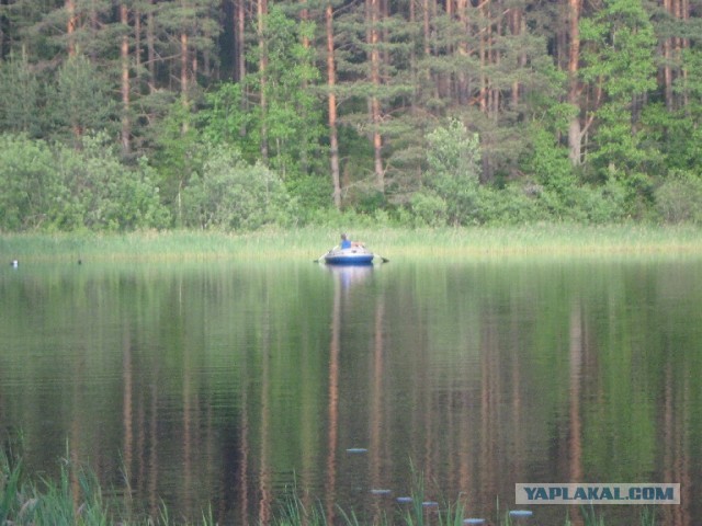 Отдых должен радовать.